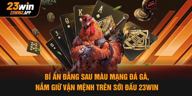 Bí ẩn đằng sau màu mạng đá gà, nắm giữ vận mệnh trên sới đấu 23Win