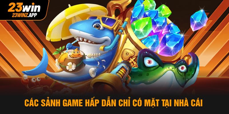 Một trải nghiệm giải trí đầy màu sắc tại bắn cá kim cương