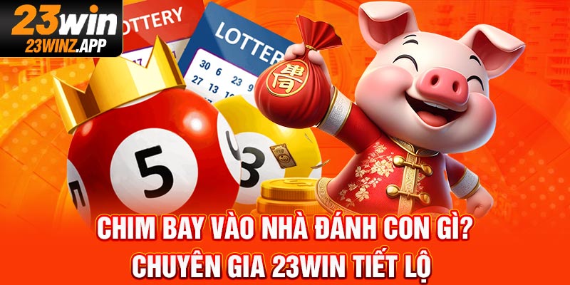 Chim Bay Vào Nhà Đánh Con Gì? Chuyên Gia 23Win Tiết Lộ