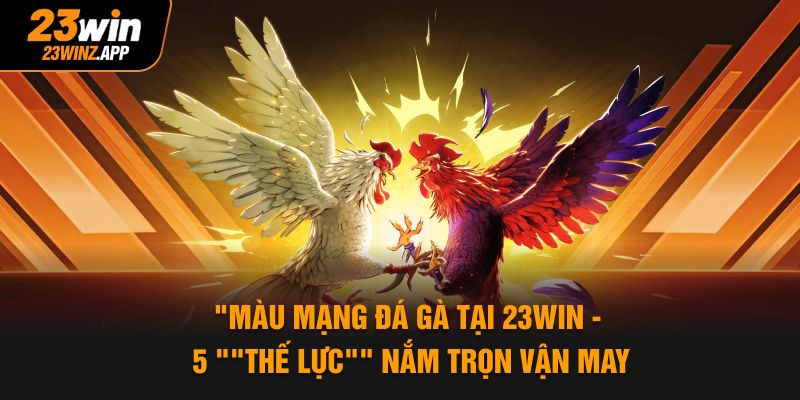 Màu Mạng Đá Gà Tại 23Win - 5 "Thế Lực" Nắm Trọn Vận May