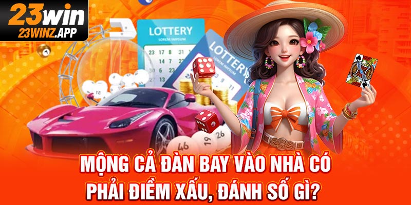 Mộng cả đàn bay vào nhà có phải điềm xấu, đánh số gì?