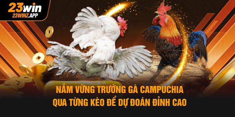 Nắm vững trường gà Campuchia qua từng kèo để dự đoán đỉnh cao