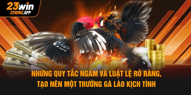 Những quy tắc ngầm và luật lệ rõ ràng, tạo nên một trường gà Lào kịch tính