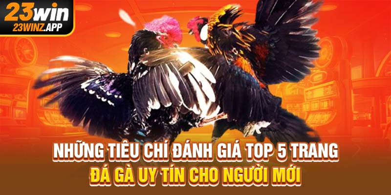 Những tiêu chí đánh giá top 5 trang đá gà uy tín cho người mới