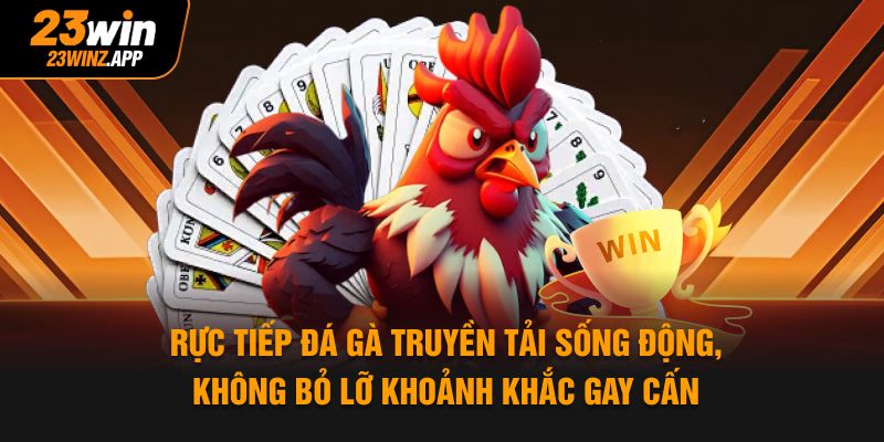 Trực tiếp đá gà truyền tải sống động, không bỏ lỡ khoảnh khắc gay cấn