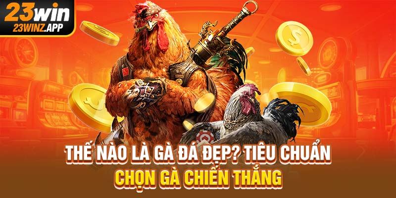 Thế Nào Là Gà Đá Đẹp? Tiêu Chuẩn Chọn Gà Chiến Thắng