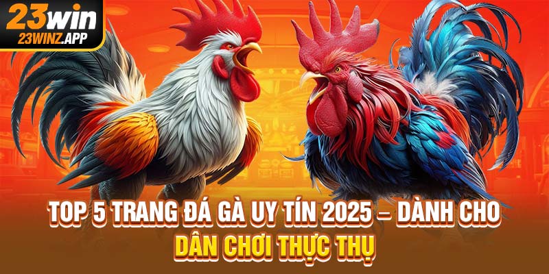 Top 5 Trang Đá Gà Uy Tín 2025 – Dành Cho Dân Chơi Thực Thụ