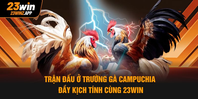Trận đấu ở trường gà Campuchia đầy kịch tính cùng 23WIN