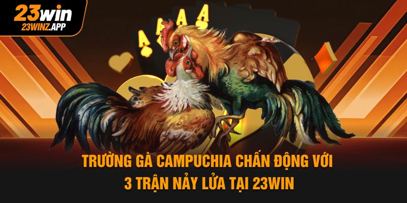 Trường Gà Campuchia Chấn Động Với 3 Trận Nảy Lửa Tại 23WIN